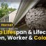 Wasp Lifespan & Lifecycle: Queen, Worker & Colony