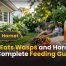 What Eats Wasps & Hornets? Complete Feeding Guide 2 What Eats Wasps and Hornets Best Complete Feeding Guide