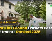 Good Lawn Maintenance with Pest Control 2 What Kills Ground Hornets: Best Treatments Ranked