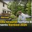 What Kills Ground Hornets: Best Treatments Ranked 2 What Kills Ground Hornets: Best Treatments Ranked