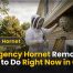 Emergency Hornet Removal: What to Do Right Now 2 Emergency Hornet Removal: What to Do Right Now in CT