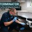Fly Exterminator: When to Call a Pro & What It Costs 2 Fly Exterminator When to Call & What Best Costs in CT 2026