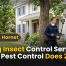 Flying Insect Control Services: What Pest Control Actually Does 2 Flying Insect Control Services What Pest Control Does 2026