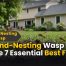 Ground-Nesting Wasp Guide 7 Essential Best Facts