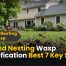 Ground Nesting Wasp Identification: Best 7 Key Signs