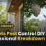 Hornets Pest Control: DIY vs Professional Breakdown 2026