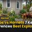 Wasps vs Hornets 7 Key Differences Best Explained