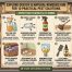 DIY Natural Remedies Hub: 10 Solutions That Work