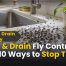 Gnat & Drain Fly Control: 10 Powerful Ways to Get Rid of Them 2 Gnat Drain Fly Control Hub 10 Ways to Stop Them