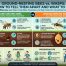 Ground-Nesting Bees & Wasps: 7 Key Differences to Know 2 Ground Nesting Bees Wasps: 7 Key Differences