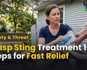 Good Lawn Maintenance with Pest Control 4 Wasp Sting Treatment 10 Steps for Fast Relief