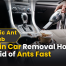 Ants in the Car: How to Remove & Prevent Infestations 77 Ants in Car Removal: How to Get Rid of Ants Fast