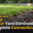 Ants in the Yard: Complete Outdoor Elimination Guide 77 Ants in Yard Elimination: Complete Connecticut Guide