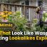 Bugs That Look Like Wasps 15 Amazing Lookalikes Explained