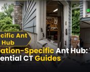 Good Lawn Maintenance with Pest Control 4 Location-Specific Ant Hub 10 Essential CT Guides