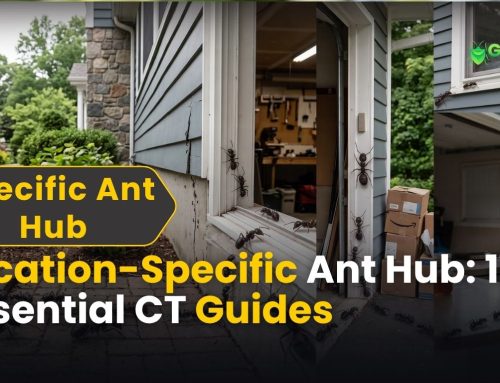 Location-Specific Ant Hub: 10 Essential Guides for Homeowners