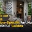 Location-Specific Ant Hub: 10 Essential Guides for Homeowners 2 Location-Specific Ant Hub 10 Essential CT Guides