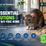 Rat Exterminator Services: 10 Essential Solutions for Homes 8 Rat Exterminator Service Hub 10 Essential Solutions